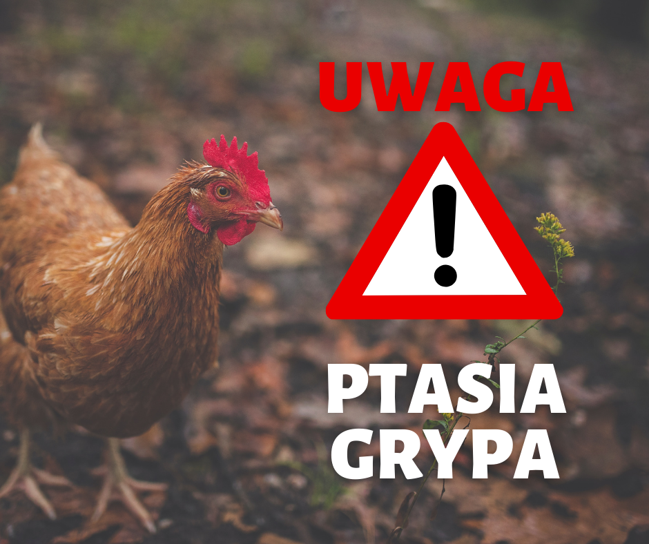 Rozporządzenie nr 13 Wojewody Mazowieckiego z dnia 7 maja 2021 r. w sprawie zwalczania wysoce zjadliwej grypy ptaków (HPAI)